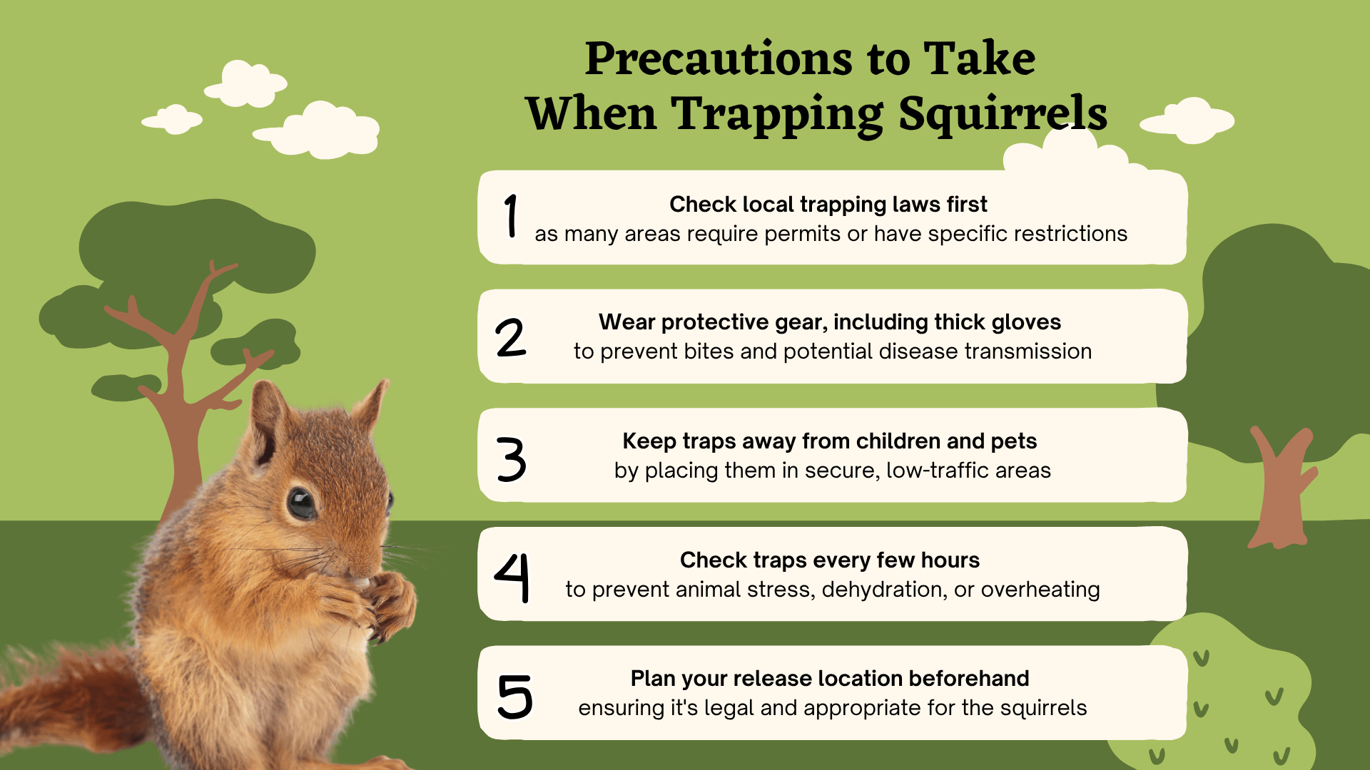 Innovative Ways to Keep Squirrels Away for Good
