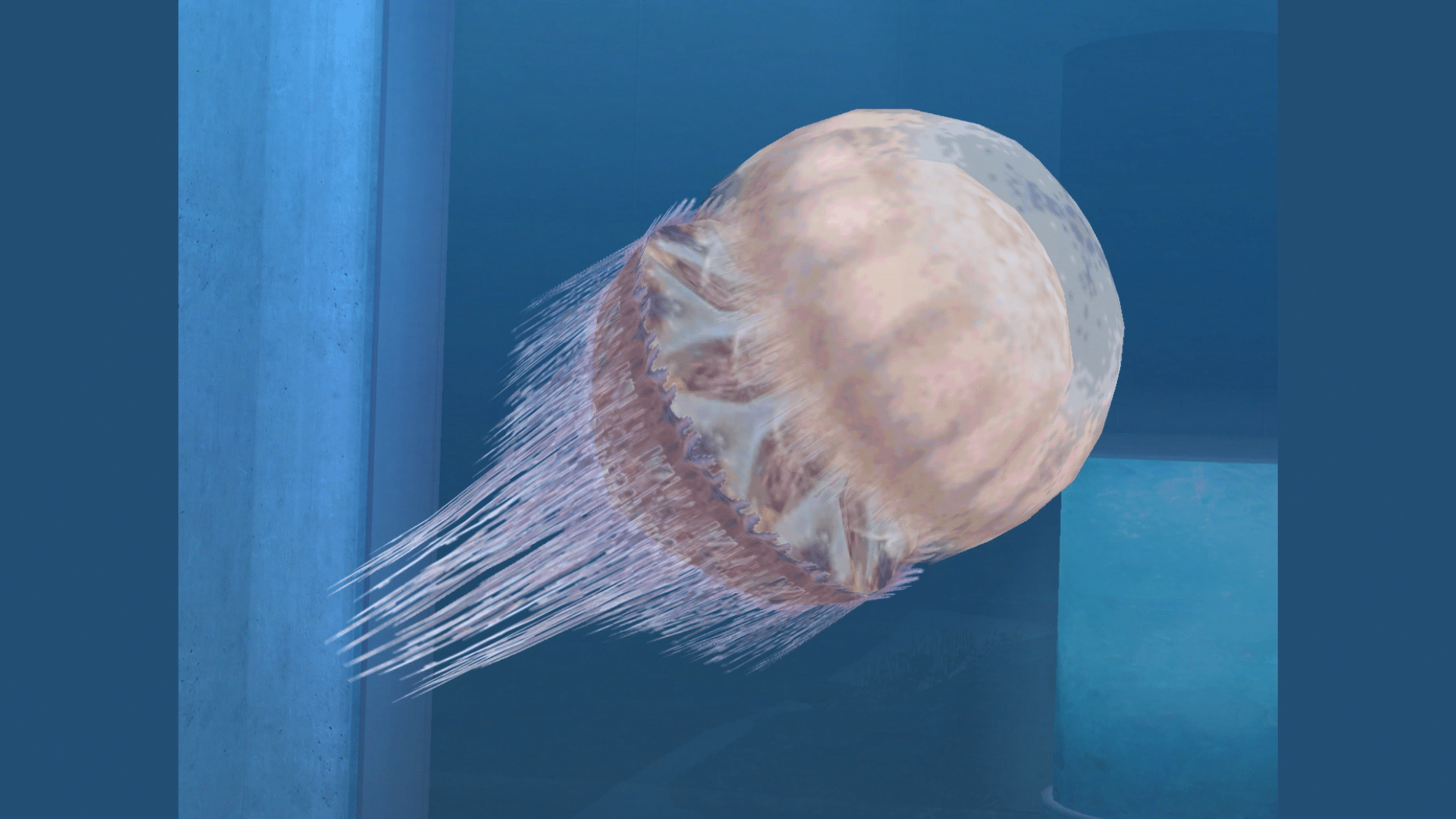 Nomura's Jellyfish (Nemopilema Nomurai)
