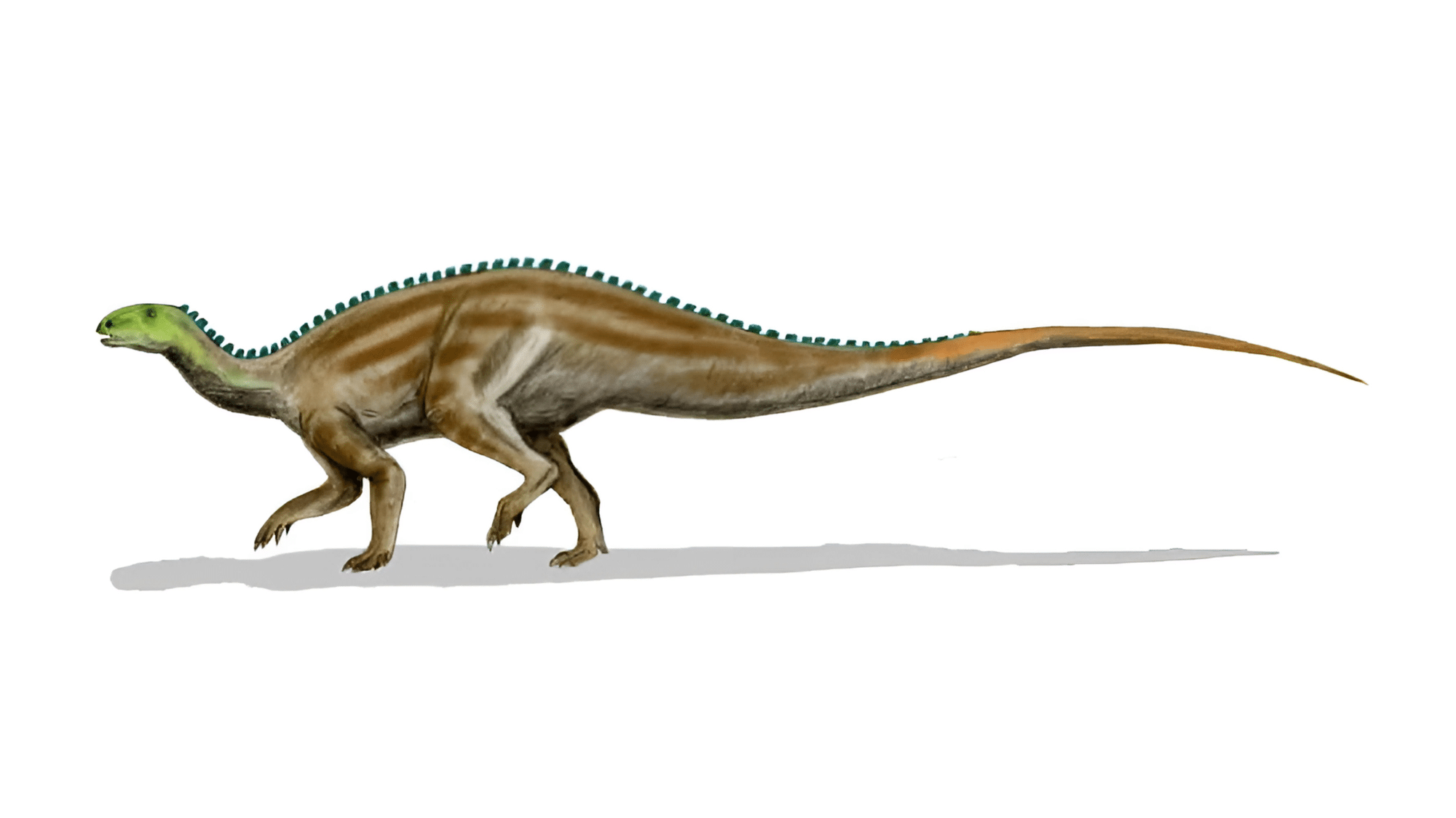Tenontosaurus