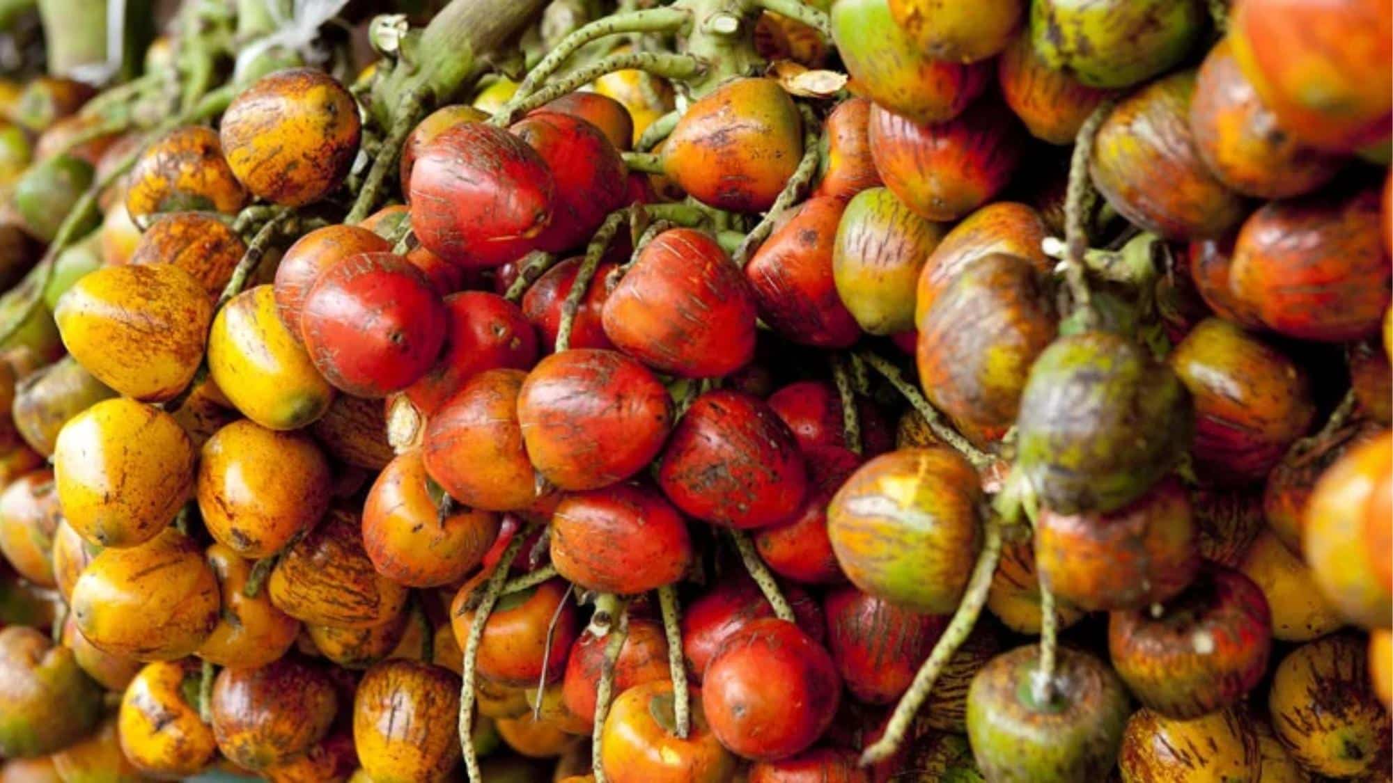 Unusual Fruit
