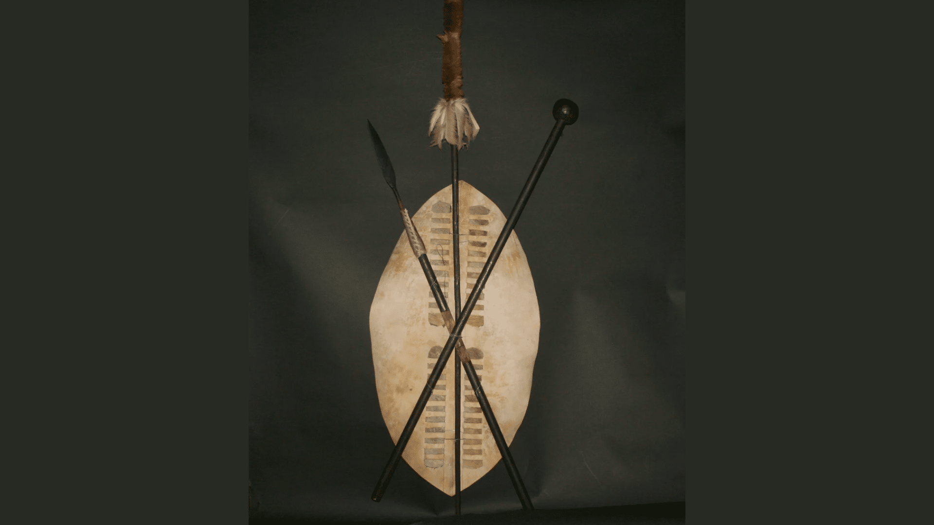 Zulu Shield