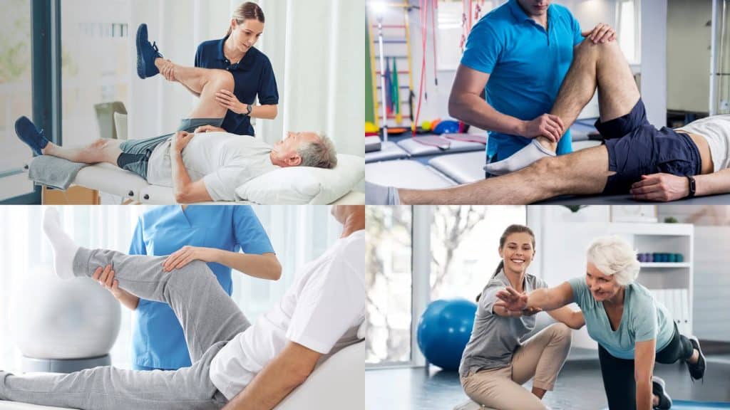 17 Interesting Facts About Physical Therapy