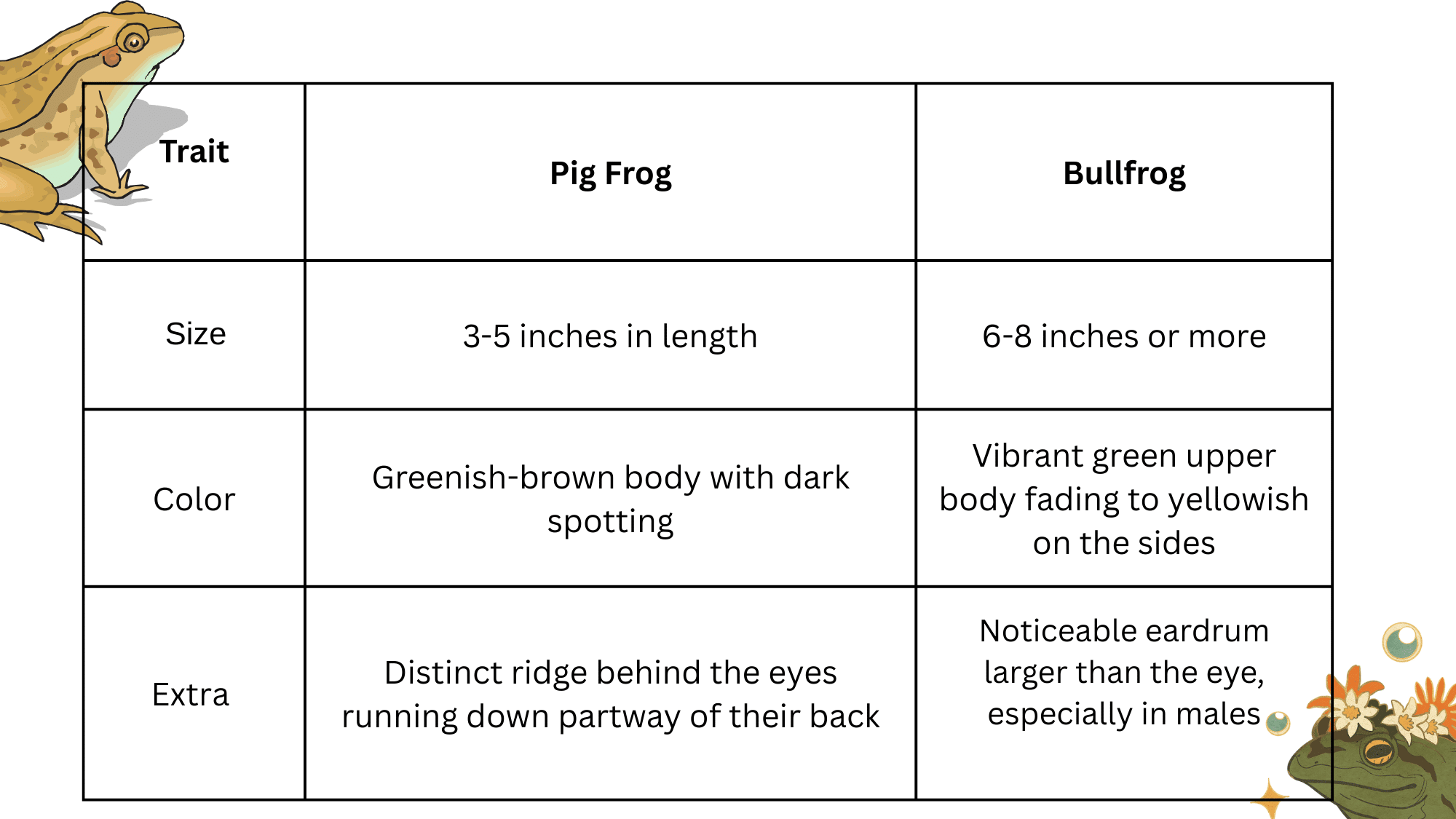frog traits
